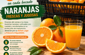 El sabor del sol ya está en Frujuaida